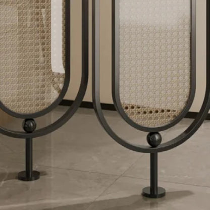 Modern Black Frame Rattan Weave Partition